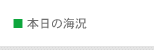 本日の海況